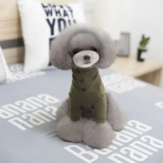 Autumn Winter Dog Clothes for Small Breeds (Warm & Casual).