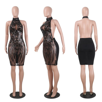 Sequin Sheer Back Dress, Sequin Dress
