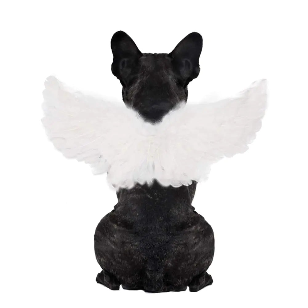 WeeH Pet Halloween Costume Cosplay Angel Devil Black White Wing for Dog Cat Rabbit Piggy - Funny Gift at Halloween Party Anime Theme Birthday Christmas (White Large)