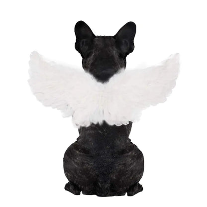 WeeH Pet Halloween Costume Cosplay Angel Devil Black White Wing for Dog Cat Rabbit Piggy - Funny Gift at Halloween Party Anime Theme Birthday Christmas (White Large)