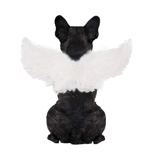 WeeH Pet Halloween Costume Cosplay Angel Devil Black White Wing for Dog Cat Rabbit Piggy - Funny Gift at Halloween Party Anime Theme Birthday Christmas (White Large)