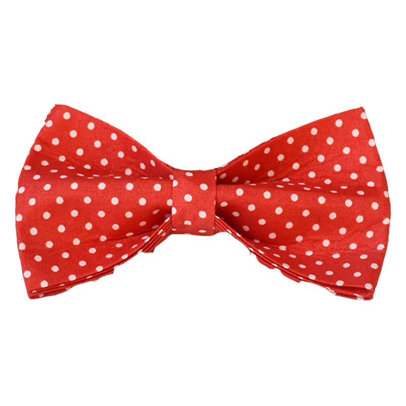 Red Dot Dog Leash and Collar Pet Supplies